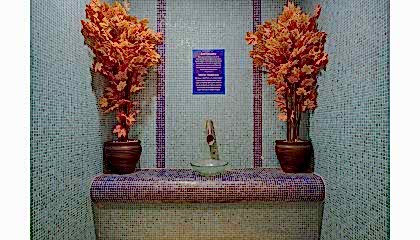 Spa & Wellness
