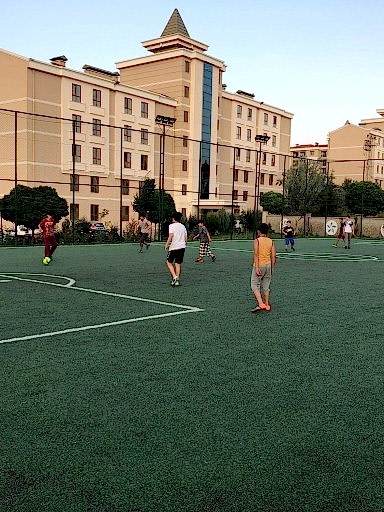 Spor