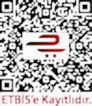 Elektronik Ticaret Bilgi Sistemi (ETBİS)